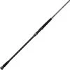 Daiwa Emcast Surf Spinning Rods
