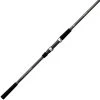 Daiwa Sealine Surf Spinning Rods