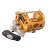 Penn International VISW 2 Speed Conventional Reels